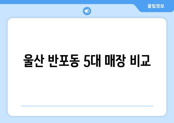 울산 반포동 5대 매장 비교