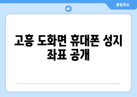 고흥 도화면 휴대폰 성지 좌표 공개