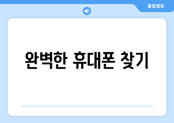 완벽한 휴대폰 찾기