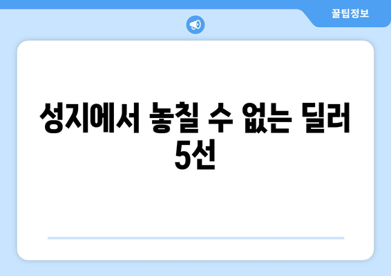 성지에서 놓칠 수 없는 딜러 5선