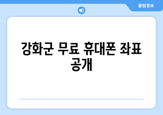 강화군 무료 휴대폰 좌표 공개