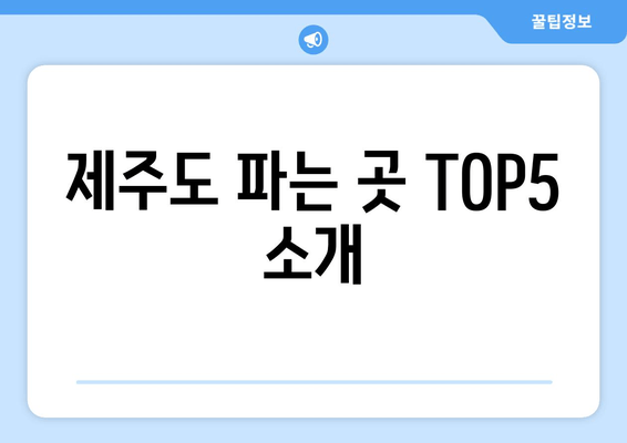 제주도 파는 곳 TOP5 소개