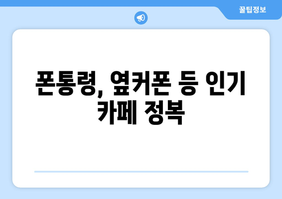 폰통령, 옆커폰 등 인기 카페 정복