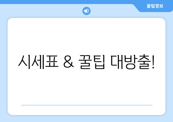 시세표 & 꿀팁 대방출!