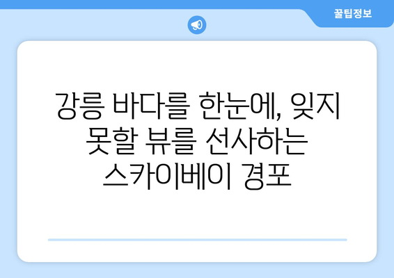 강릉 스카이베이 경포 호텔| 멋진 휴식을 위한 완벽한 선택 | 강릉 여행, 호텔 추천, 숙소 정보