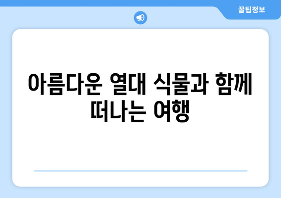 제주 중문관광단지의 숨겨진 보석, 여미지 식물원| 힐링과 아름다움을 만끽하는 여행 | 제주, 중문, 식물원, 여행, 가볼만한곳