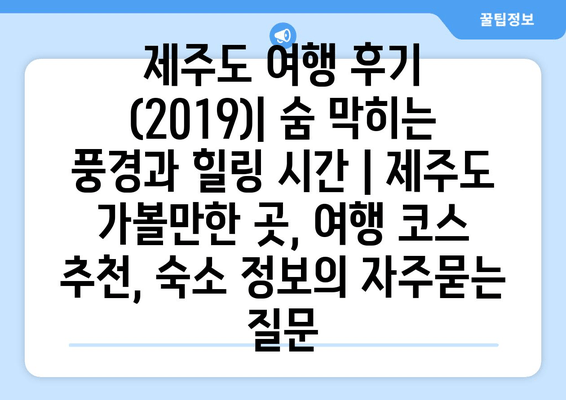 제주도 여행 후기 (2019)| 숨 막히는 풍경과 힐링 시간 | 제주도 가볼만한 곳, 여행 코스 추천, 숙소 정보