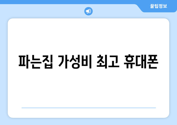 파는집 가성비 최고 휴대폰