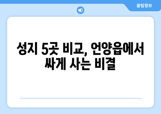 성지 5곳 비교, 언양읍에서 싸게 사는 비결