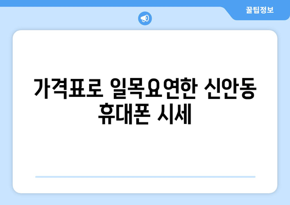 가격표로 일목요연한 신안동 휴대폰 시세