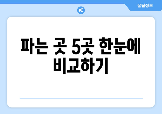 파는 곳 5곳 한눈에 비교하기