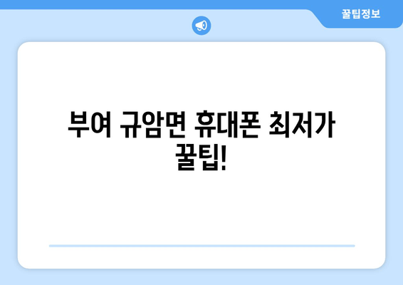 부여 규암면 휴대폰 최저가 꿀팁!