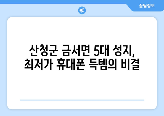 산청군 금서면 5대 성지, 최저가 휴대폰 득템의 비결