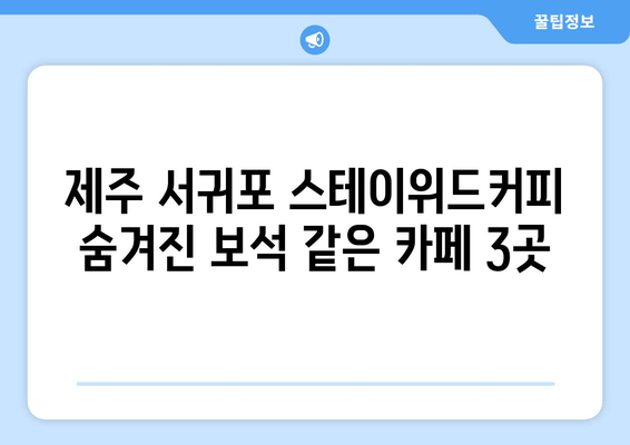 제주 서귀포 스테이위드커피| 숨겨진 보석 같은 카페 3곳 | 서귀포 카페 추천, 분위기 좋은 카페, 커피 맛집