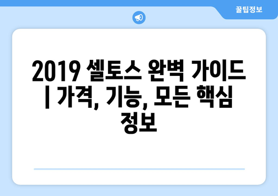 2019 셀토스 완벽 가이드 | 가격, 기능, 모든 핵심 정보