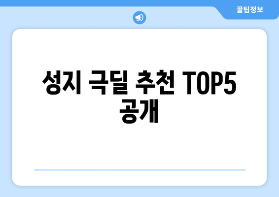 성지 극딜 추천 TOP5 공개