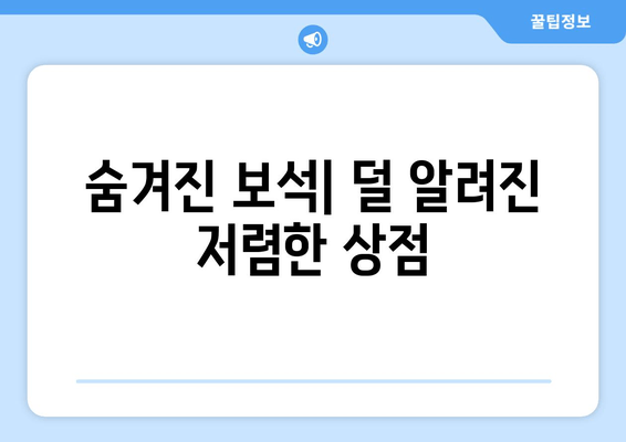 숨겨진 보석| 덜 알려진 저렴한 상점