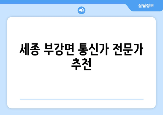 세종 부강면 통신가 전문가 추천