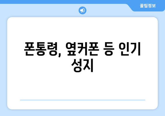 폰통령, 옆커폰 등 인기 성지