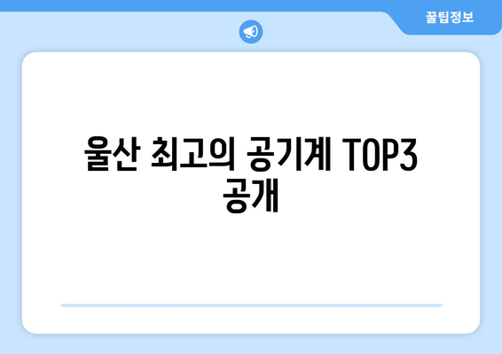 울산 최고의 공기계 TOP3 공개