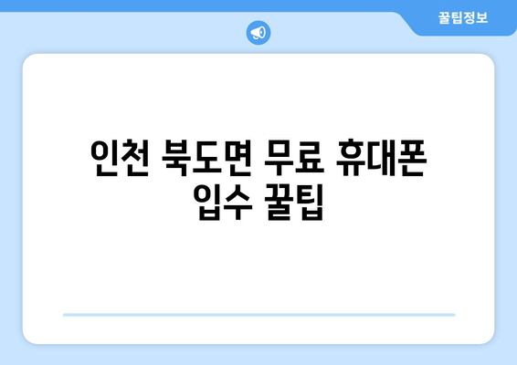 인천 북도면 무료 휴대폰 입수 꿀팁