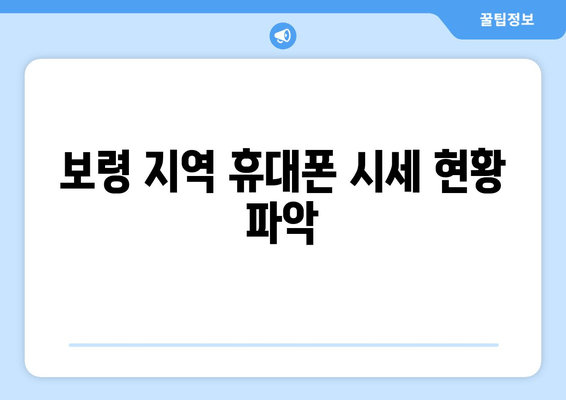 보령 지역 휴대폰 시세 현황 파악