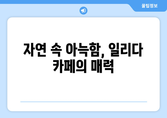 서울 근교 편안한 휴식, 경기도 광주 일리다 카페에서 여유로운 시간 | 힐링 카페 추천, 드라이브 코스