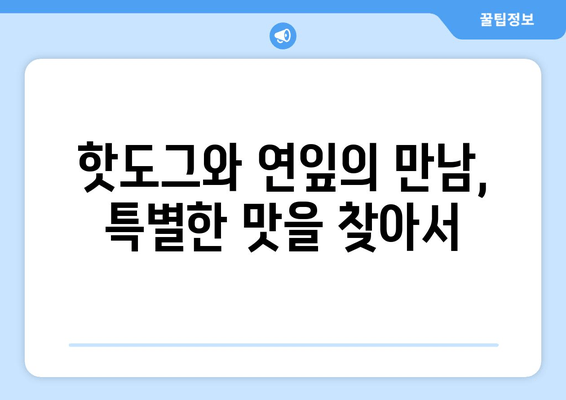 양평 연잎 핫도그 맛집| 맛과 분위기, 그리고 특별함까지! | 양평 핫도그, 연잎 핫도그, 맛집 추천, 데이트 코스