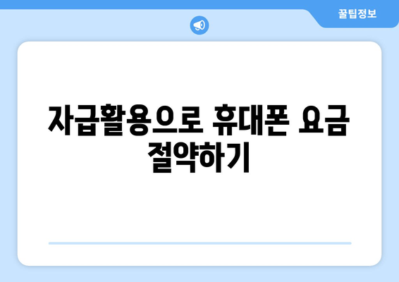 자급활용으로 휴대폰 요금 절약하기