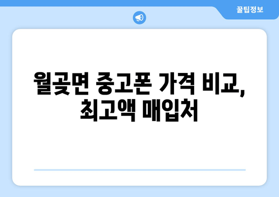 월곶면 중고폰 가격 비교, 최고액 매입처