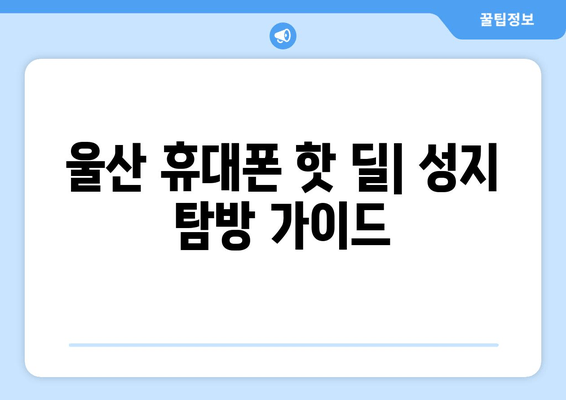 울산 휴대폰 핫 딜| 성지 탐방 가이드