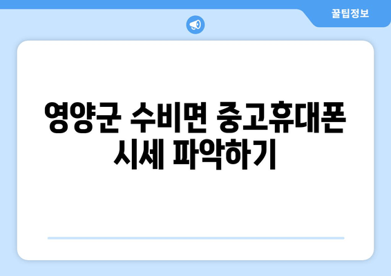 영양군 수비면 중고휴대폰 시세 파악하기