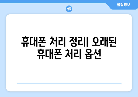 휴대폰 처리 정리| 오래된 휴대폰 처리 옵션