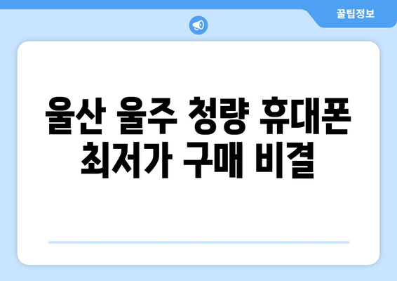 울산 울주 청량 휴대폰 최저가 구매 비결