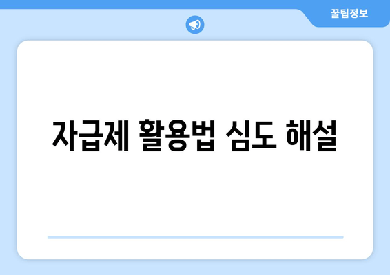 자급제 활용법 심도 해설