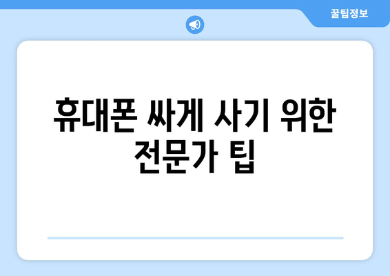 휴대폰 싸게 사기 위한 전문가 팁