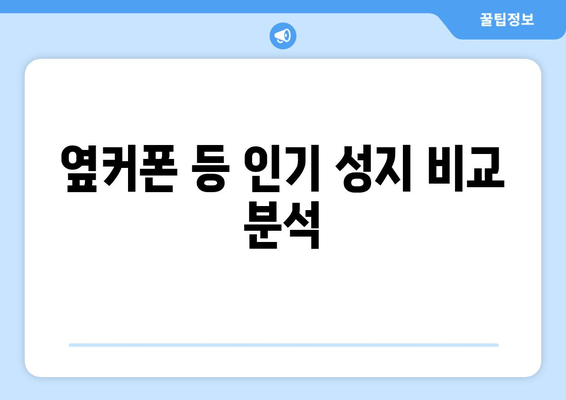 옆커폰 등 인기 성지 비교 분석