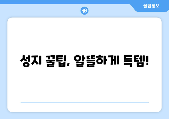 성지 꿀팁, 알뜰하게 득템!