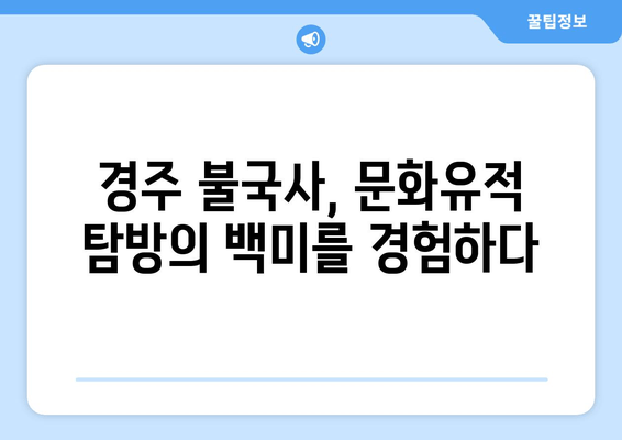 경주 불국사 완벽 가이드| 위치, 입장료, 꼭 봐야 할 명소 | 경주 여행, 불국사 정보, 문화유적 탐방