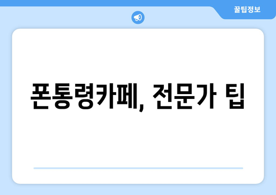 폰통령카페, 전문가 팁