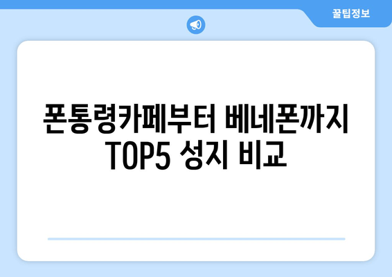 폰통령카페부터 베네폰까지 TOP5 성지 비교