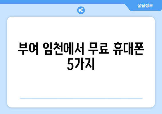 부여 임천에서 무료 휴대폰 5가지