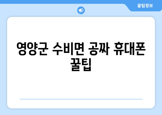 영양군 수비면 공짜 휴대폰 꿀팁