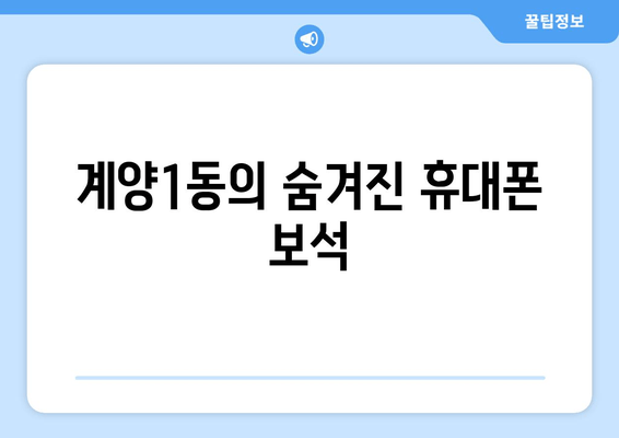 계양1동의 숨겨진 휴대폰 보석