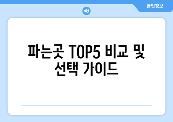 파는곳 TOP5 비교 및 선택 가이드