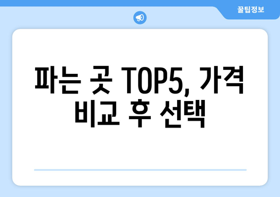 파는 곳 TOP5, 가격 비교 후 선택