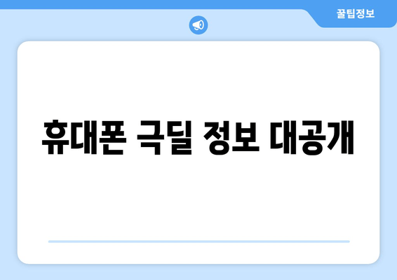 휴대폰 극딜 정보 대공개