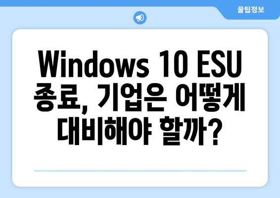 Windows 10 ESU 종료와 가격 변동| 2025년 기업의 대응 전략 | 보안, 비용, 마이그레이션