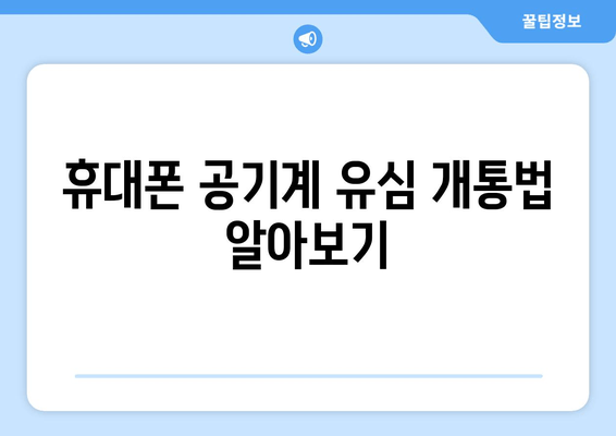 휴대폰 공기계 유심 개통법 알아보기