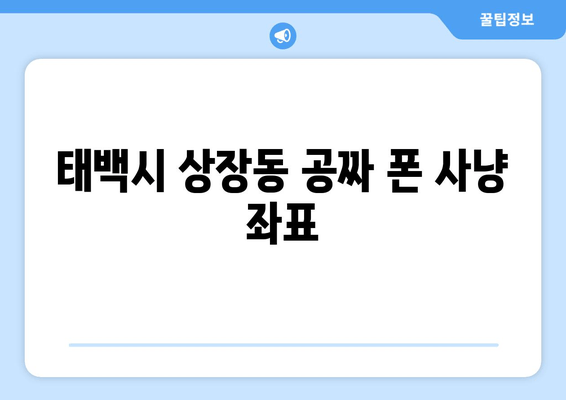 태백시 상장동 공짜 폰 사냥 좌표